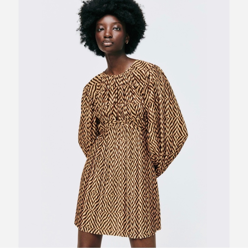 ZARA PRINTED PLEATED DRESS